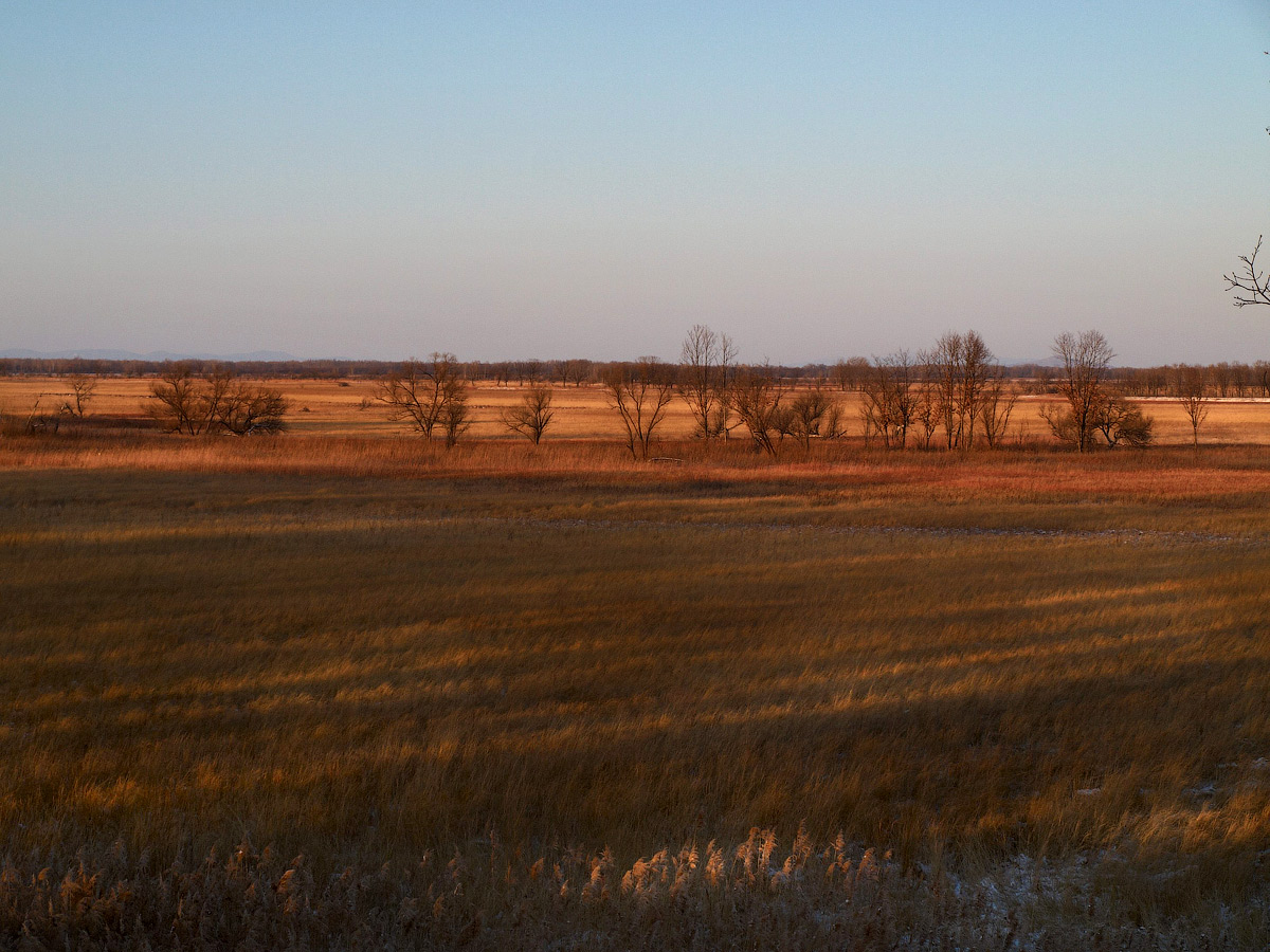 рассвело