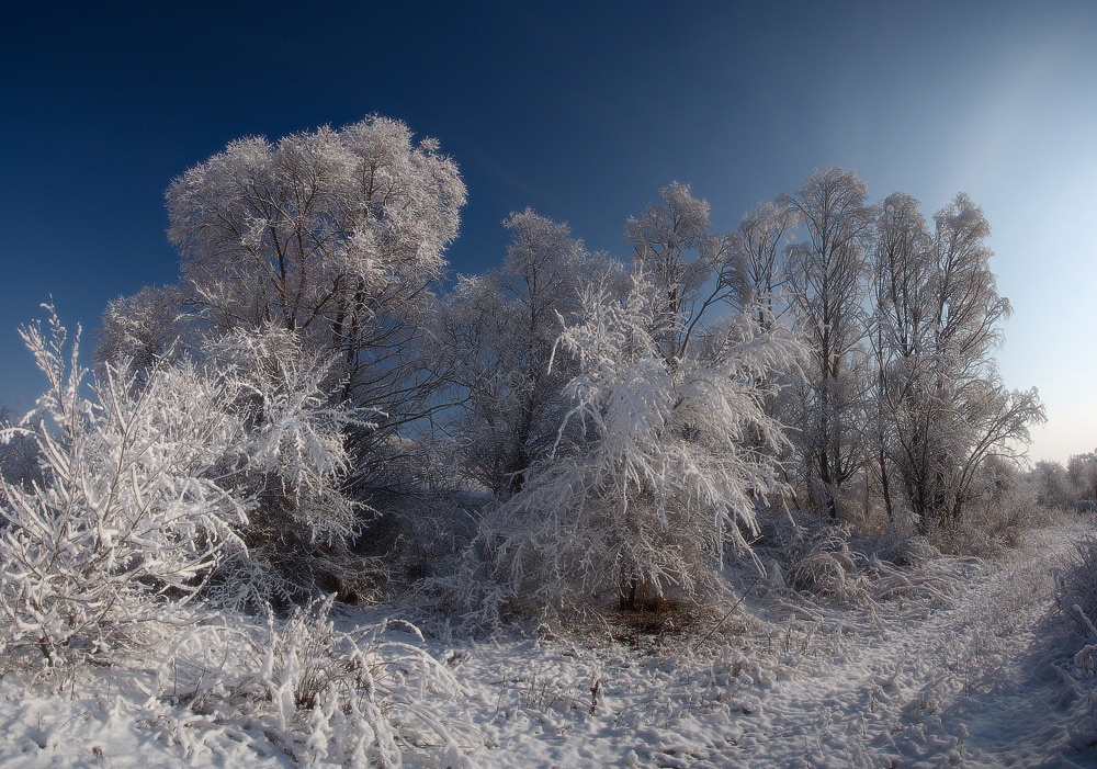 Back to Winter