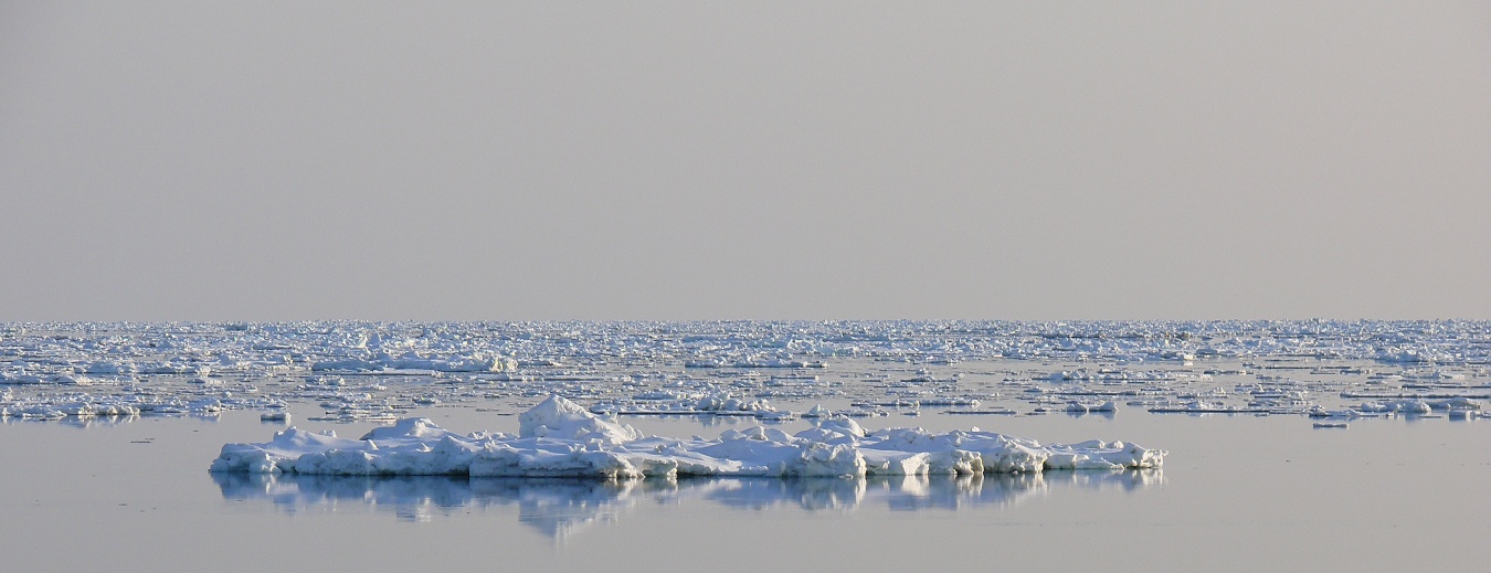 ice of horizon