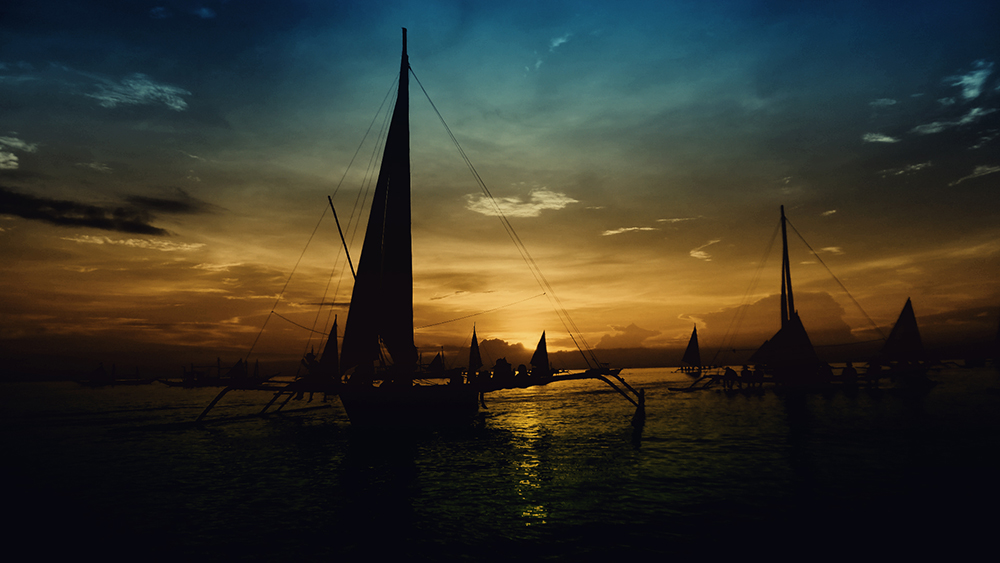sea ​​wolves