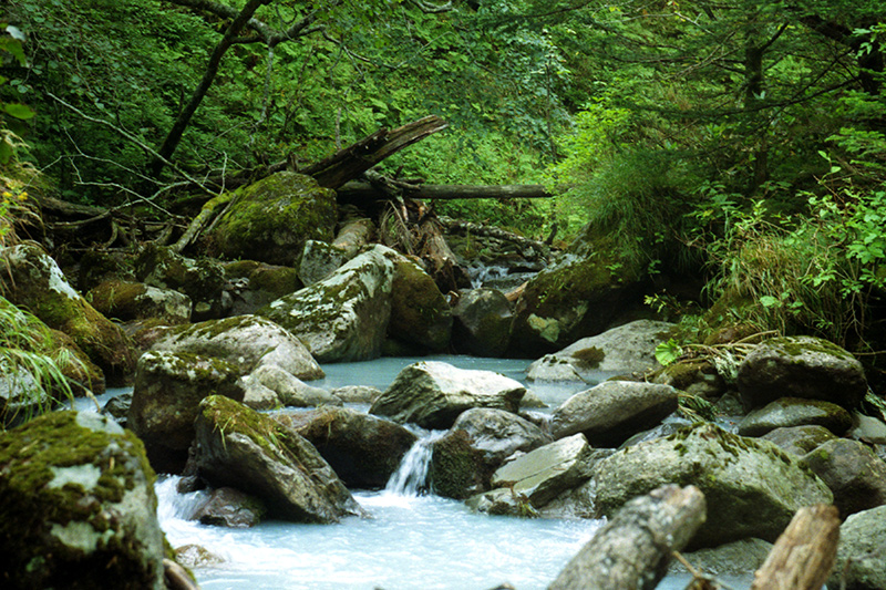 Лукоморье