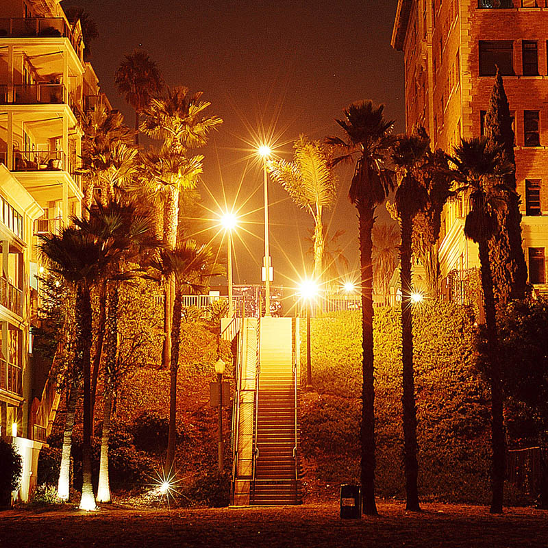 Night