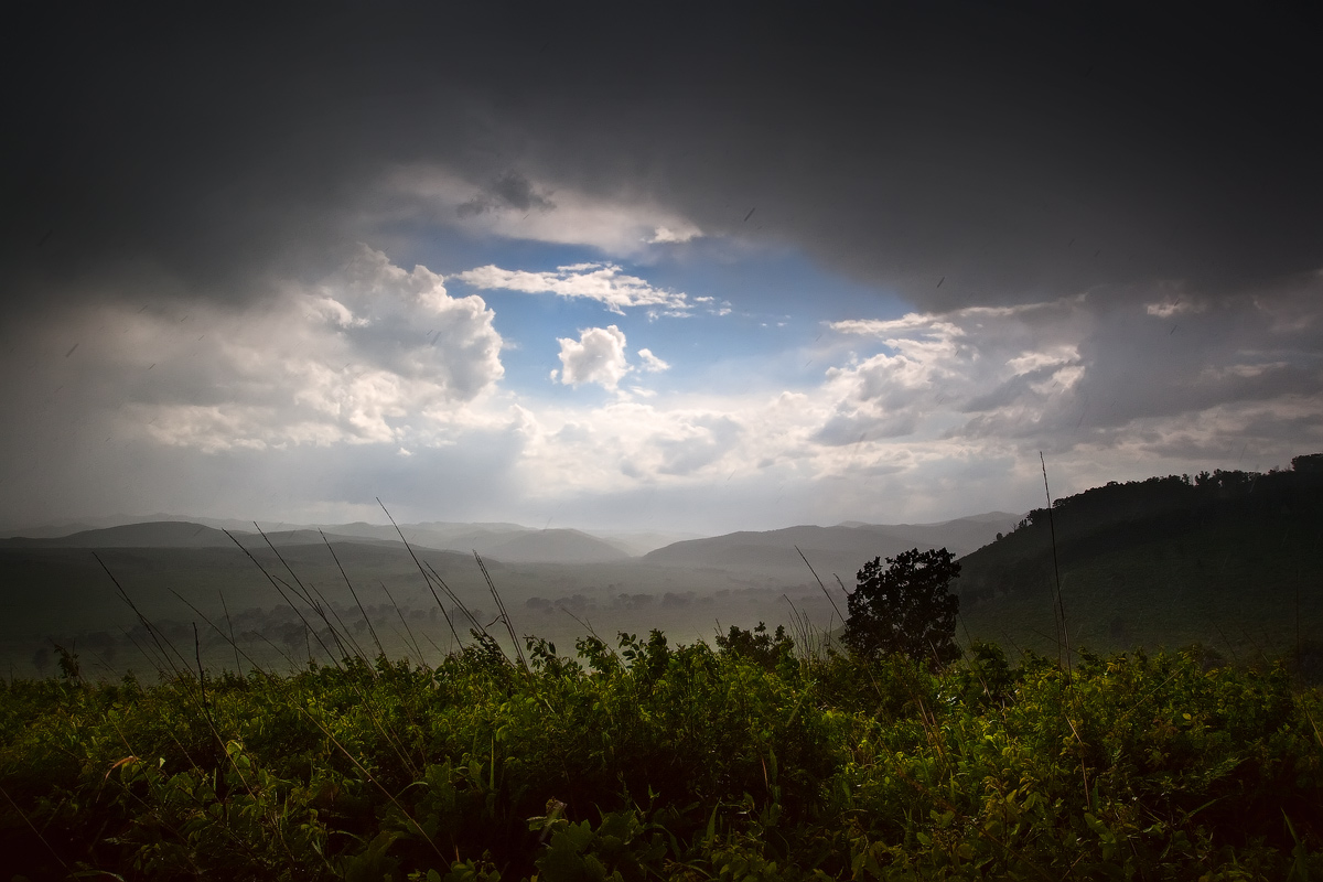 black rain...