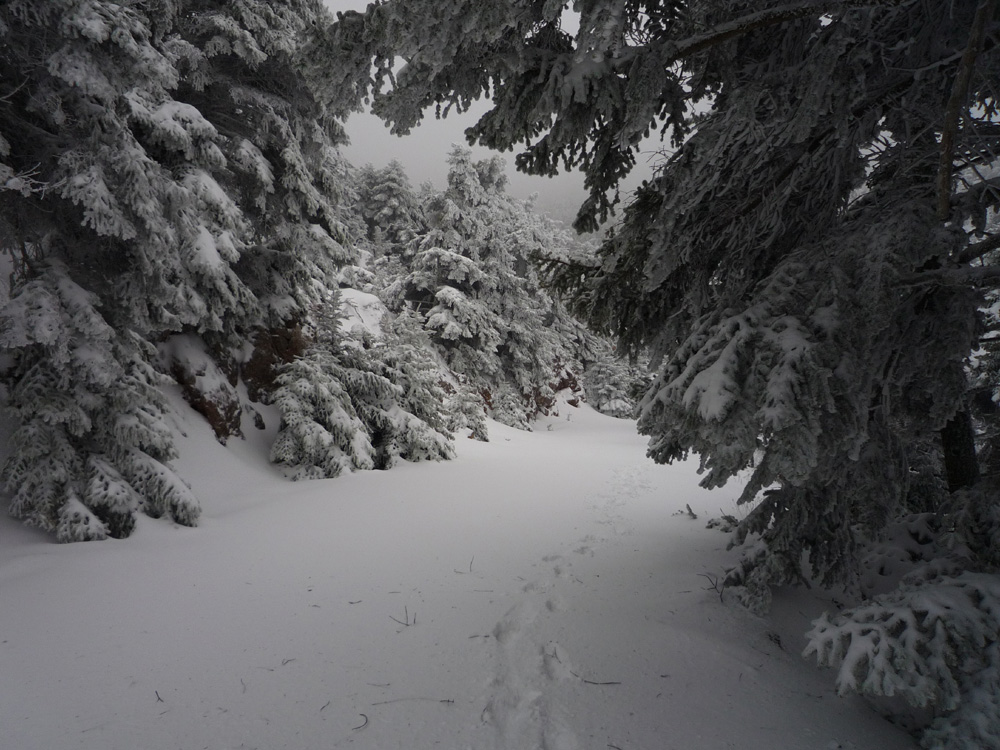 winter