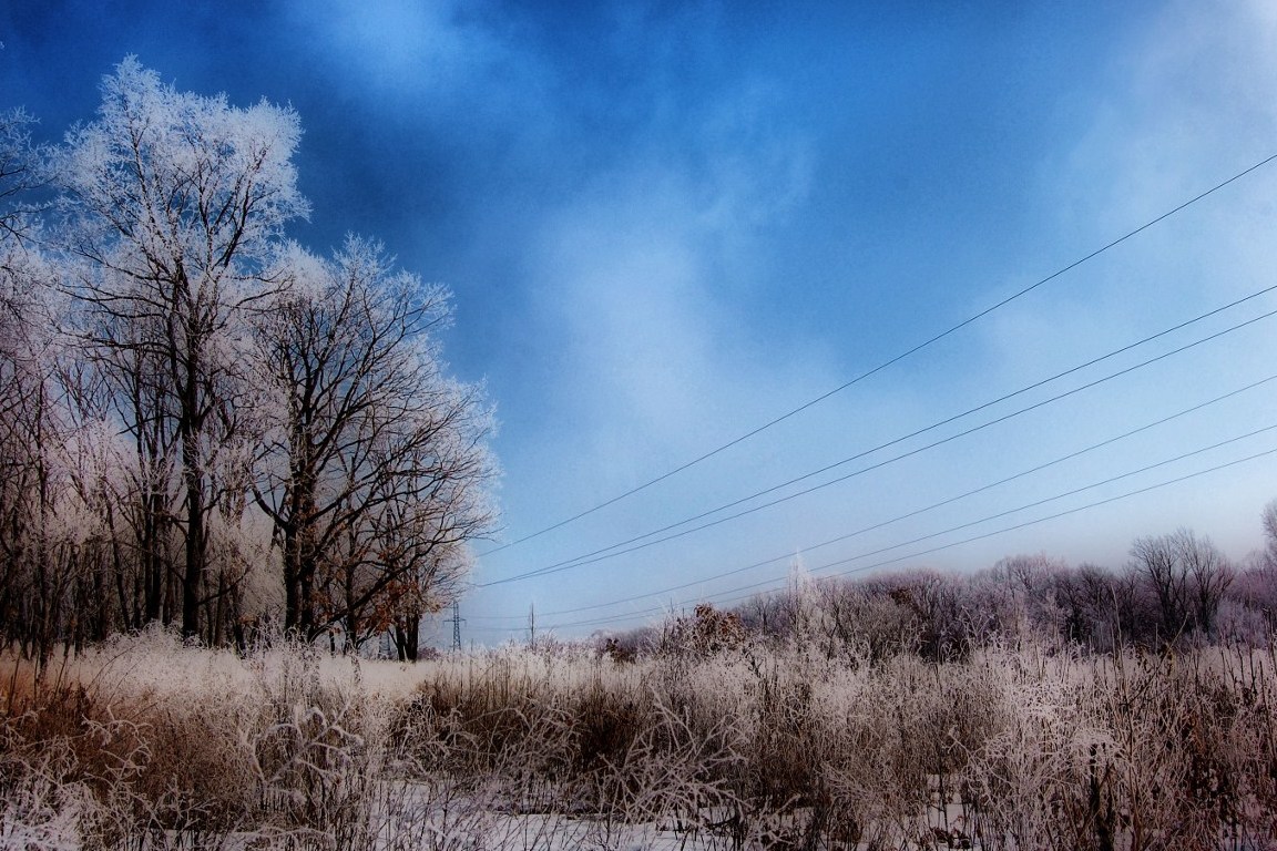 Иней