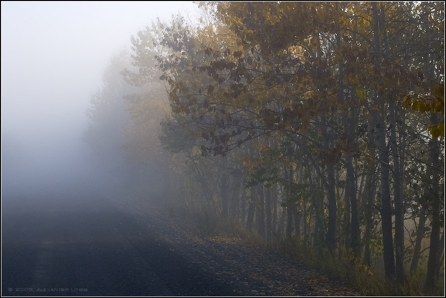 Осеннее утро