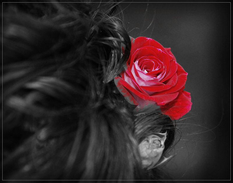 rose