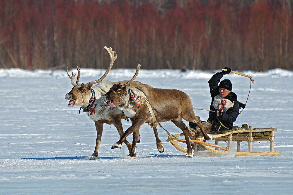 Заезд II