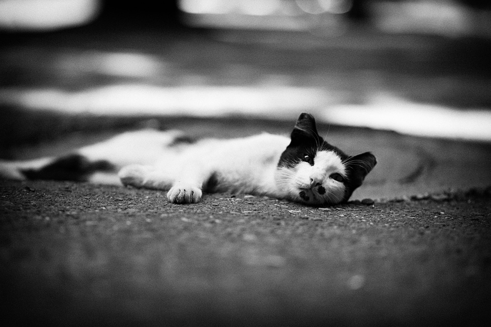 Relax