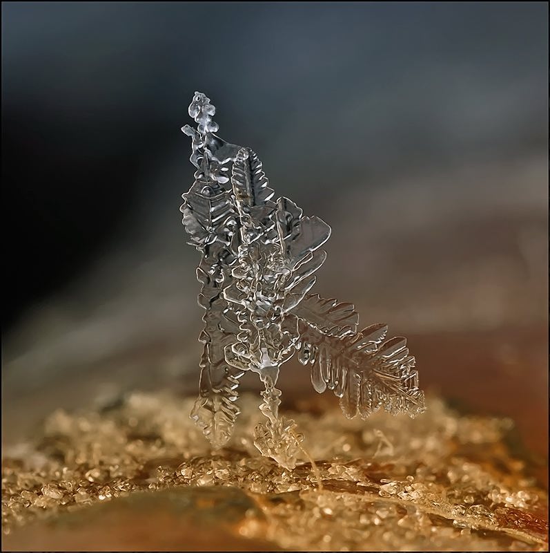 Костяная нога...