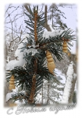 С новым годом!