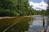 Flyfishing Flyfishing