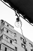 Таких не берут во фризлайтинг