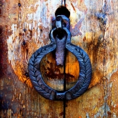 DOOR DOOR