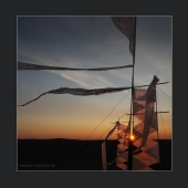 Shambal. 2015