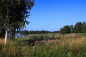 Отпускные зарисовки 2 Отпускные зарисовки 2