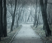 парк