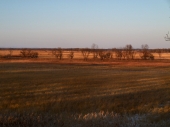 рассвело рассвело