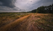 Июнь приазовский Июнь приазовский
