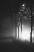 Shadowsplay