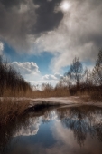 апрель (3)
