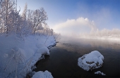 Другое, еще январское утро Другое, еще январское утро