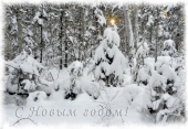 Новогодняя Новогодняя