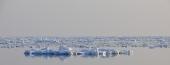 ice of horizon