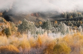 Осень III Осень III