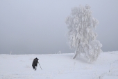 Фотограф и его модель Фотограф и его модель