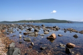 Камни