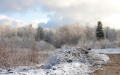 Зимнее