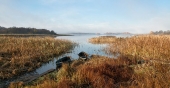 Лодки у воды.