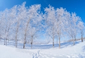 Зима прощается красиво...