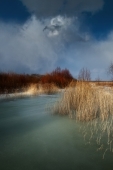 запахло весной [2]