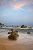 Pacific dream.