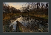 понедельник осени. 2015 понедельник осени. 2015