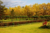 краски дня краски дня