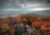 такая разная осень... такая разная осень...