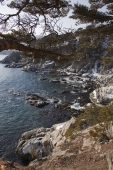 Морской заповедник. Морской заповедник.