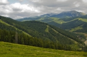 Дотянуться до небес Дотянуться до небес