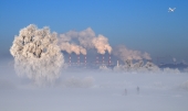 Городская зима Городская зима