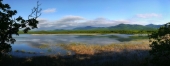 Утречком 2