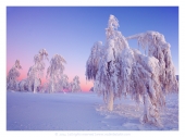 Белогорье Белогорье