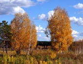 тёплая осень тёплая осень