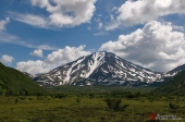 Бакенинг Бакенинг