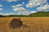 Незримое дыхание осени Незримое дыхание осени