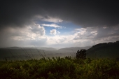 black rain... black rain...