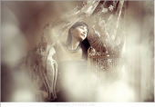 My Dream My Dream