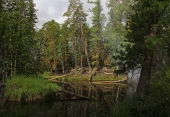 Глушь горелая